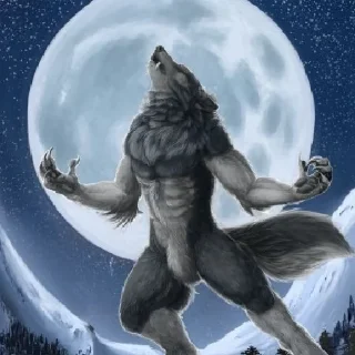 🐺