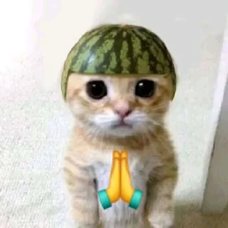 🙏