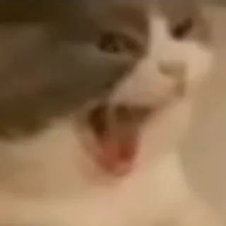 🤬