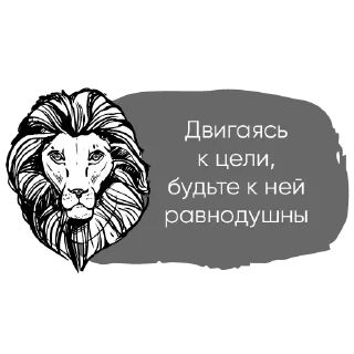 🦁