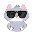 😎