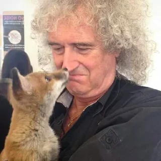🥺