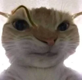 🤨