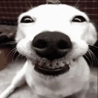 😁
