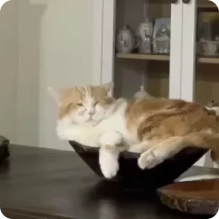 😌