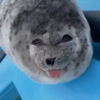 😛