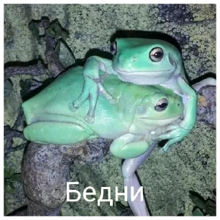 🥺