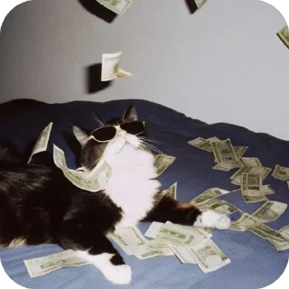 🫥