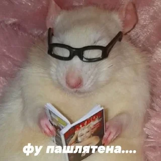 😎