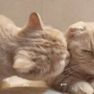 💗