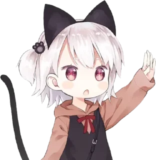 ✋