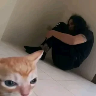 🤍
