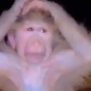 😢