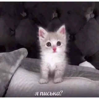 ❓
