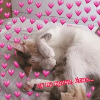 🥺