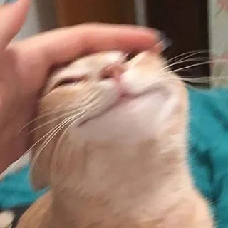 ☺