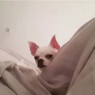😠
