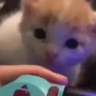 🥺