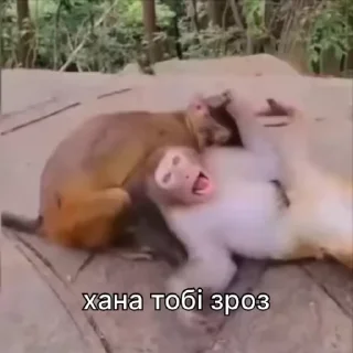 👊