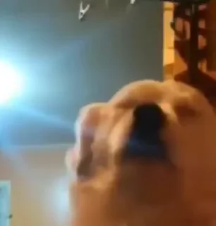 😌