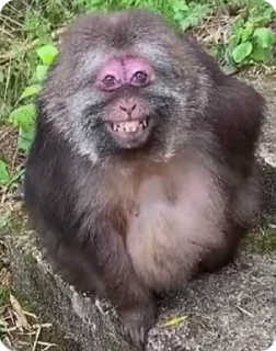 😃