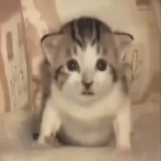 💥
