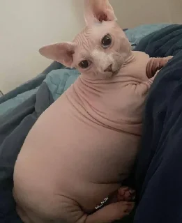 🤨
