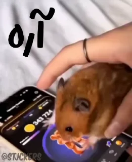 👍