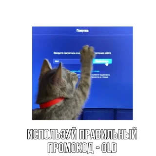 🐈