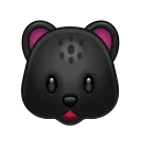 🐈‍⬛