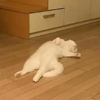 😵