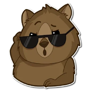 😎