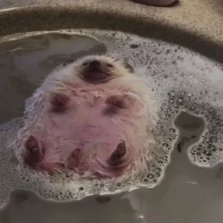🛁