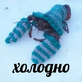 🥶
