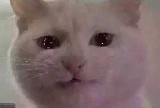😭