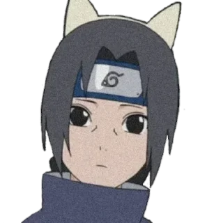 😽