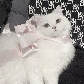 😶