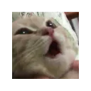 😳