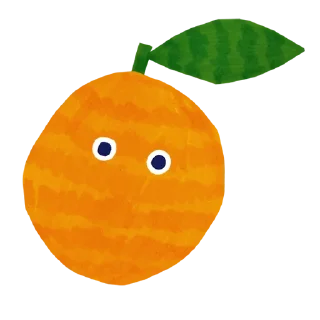 🍊