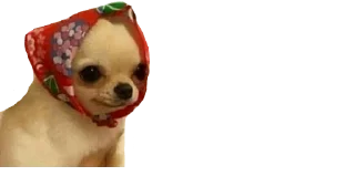 🥺