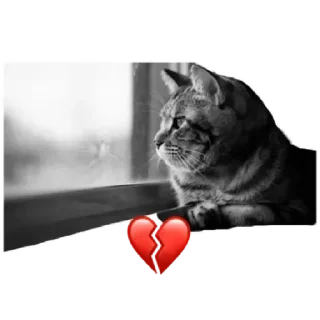 💔