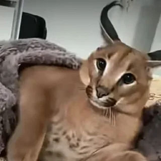 😊