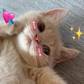 💘