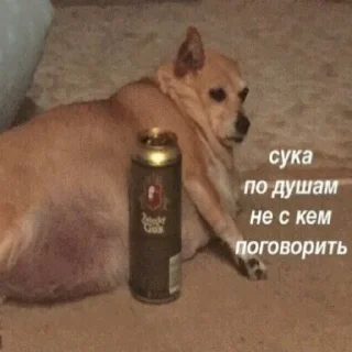 🥺