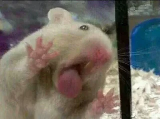👅