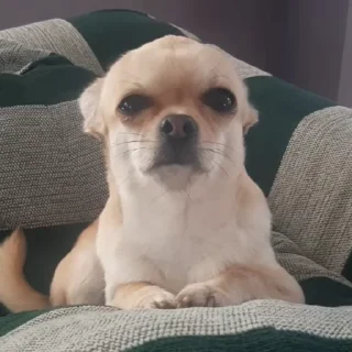 🤨
