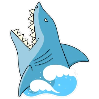 🦈
