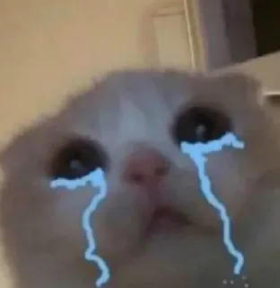 😭