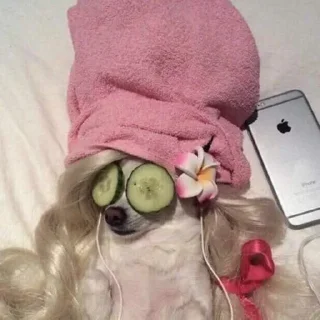 🌸