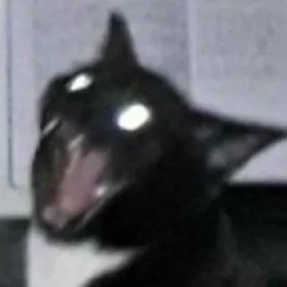 😺